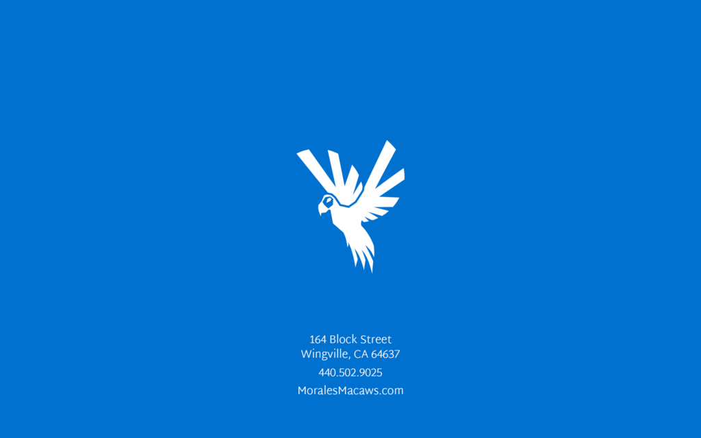 Morales_Macaws_Brand_Style_Guide_Backside_Cover